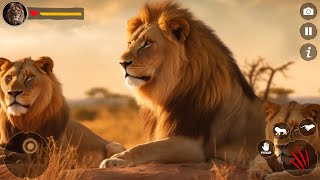 Lion Simulator  Offline Lion Family Simulator  Lion Family Game [upl. by Desirae]