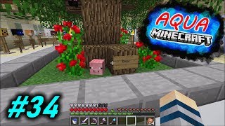 Neue Gesichter und Edgar 😱🐷  Minecraft AQUA 34 [upl. by Olympias133]