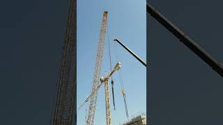 Crawler crane 250 ton and sany 160 ton tialting the panel for installation [upl. by Narol]