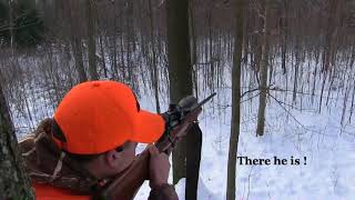 Pennsylvania Public Land Deer Hunt The Blues [upl. by Simmons106]