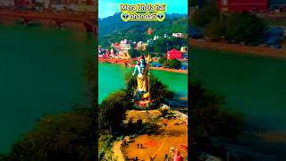 ॐ नमः शिवाय omnamahshivaya merabholahaibhandari tredingshorts viralreels tredingvlog [upl. by Zonda]