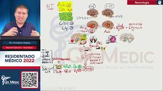 Neurología  Resumen Ejecutivo Neurología ENAMENARMSERUMS [upl. by Trevlac236]