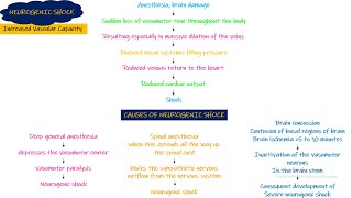 Neurogenic Shock Chapter 24 part 5 Guyton and Hall Physiology [upl. by Yornoc]