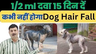 डॉग के बाल झड़ने की दवा मात्र 12ml 15 दिन 👌🏽Dog Hair Fall best Homeopathy medicine [upl. by Anabella]