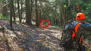 DEER RUNS RIGHT AT US DEER HUNTING 2024 Flintlock Longrifle amp Inline Muzzleloader Hunt Pennsylvania [upl. by Aieka]