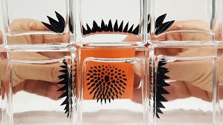 Ferrofluid in a bottle to view Magnetic Fields  Magnetic Games [upl. by Anselmo452]