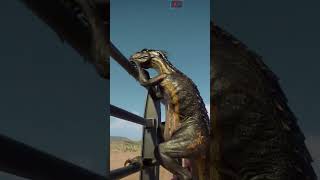 Indoraptor Climbs Fences  Jurassic World Evolution 2  Update 2 [upl. by Enileuqcaj912]