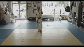 Yantsu Kata Shidokan Atlanta [upl. by Korfonta]