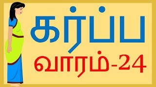 Pregnancy  Tamil  Week by Week  Week 24  வாரம் 24 [upl. by Aenyl28]