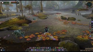 WoW BFA Skinning quest  Ceremonial Vestments Horde [upl. by Enel]