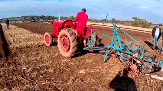 1950 David Brown Cropmaster VAK1C 25 Litre 4Cyl Diesel Tractor 34HP With Ransomes Plough [upl. by Modla158]