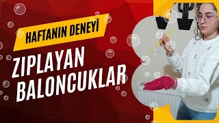 ZıplayanPatlamayan BaloncuklarGliserin etkisi deneyi [upl. by Miki880]