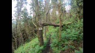 mtb trail run with gavinr32 and a few of his mates black trail shack track Clydach Vale rhondda [upl. by Enaitsirhc]