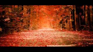 Shafiq Mureed New Farsi Sad Romantic And A Very Heart Touching Song 2013 Must Listen [upl. by Oicnedurp]