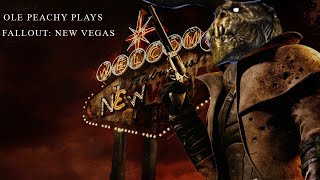 COURIER VS COURIER WHO WILL WIN  Fallout New Vegas  PART 29 [upl. by Diella]