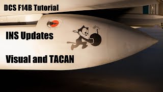 DCS F14B INS Update Tutorial Visual and TACAN [upl. by Thornton]