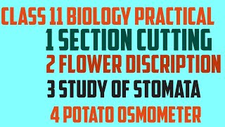 Class 11 biology practical core experiments and slide [upl. by Merwin]