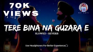 Tere Bina Na Guzara E Song  Slowed  Reverb song  Josh Brar  Nv Lofi [upl. by Ennovyahs]