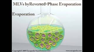 liposomes Introduction and Preparation liposome viral youtubeshorts [upl. by Nomahs793]