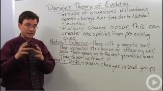 Darwins Theory of Evolution [upl. by Ennaeel]