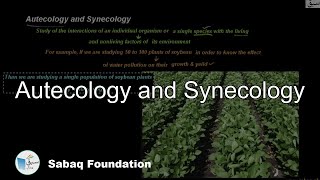 Autecology and Synecology Biology Lecture  Sabaqpk [upl. by Nivaj]