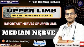 Median Nerve Anatomy  Course amp Branches  Median nerve 3D anatomy  Carpel tunnel syndrome mbbs [upl. by Ecertak]