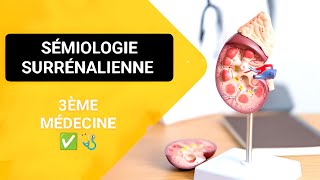 SÉMIOENDOCRINO🩺 SÉMIOLOGIE SURRÉNALIENNE3ÈME MÉDECINE ✅✅Unité3🩺💜 [upl. by Benn151]