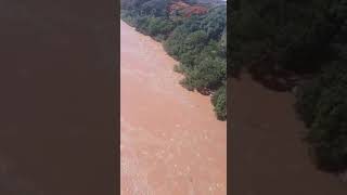 Cardumes de peixes subindo o rio cuiabá para a desovar [upl. by Aihtak258]