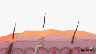 Dauerhafte Haarentfernung und AntiAging Effekt dank Laser  IPL SHR M26 – SHR Germany [upl. by Eldwun736]