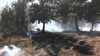 RAW VIDEO Fire in the Cajon Pass [upl. by Jackie476]