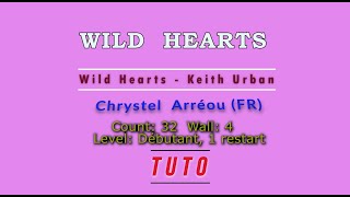 TUTO Toly Animation  WILD HEARTS Chrystel Arréou fr [upl. by Areemas]