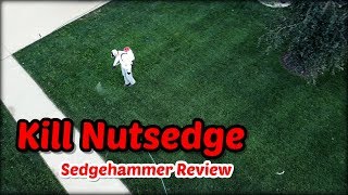 How To Kill Nutsedge  Sedgehammer and ProSedge Review [upl. by Jamel22]