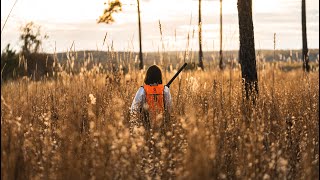 Quail Hunting in Georgia Incredible Upland hunting [upl. by Abagail]