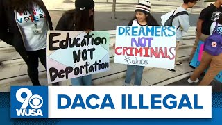 Court declares DACA program illegal protests planned in nations capital [upl. by Anhcar]