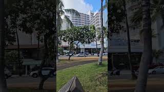 PARK SHORE waikikiHotel [upl. by Nosnevets]