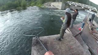 Icicle Creek Salmon Fishing [upl. by Ebba]