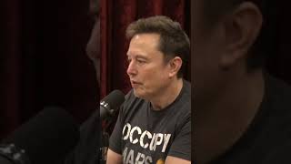 Joe Rogan and Elon Musk Talk About Pnut The Squirrel jreclips comedian 2024election podcast [upl. by Cirone790]