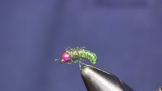 Bead Head Green Caddis Larva Holsingers Fly Shop [upl. by Stephenson575]