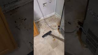 Hidden grime cleanup Watch this satisfying floor extraction behind the fridge ASMR Shorts [upl. by Durning]