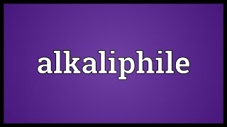 Alkaliphile Meaning [upl. by Linda777]