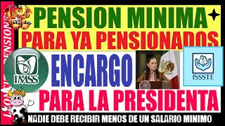 N7🦁PENSIÓN MÍNIMA PARA PENSIONES VIEJITAS IMSS E ISSSTE 😃👍 pension adultosmayores ayudasocial [upl. by Yroffej]