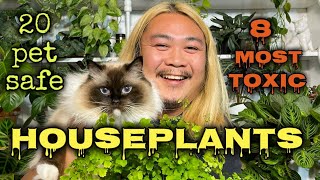 Don’t Poison Your Fur Babies With These Houseplants [upl. by Alfredo]