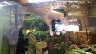 Samsung Galaxy S8 waterproof test  Phone Review  giffgaff [upl. by Harli]