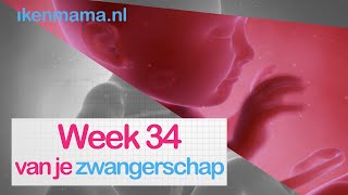 34 weken zwanger  ikenmamanl [upl. by Peterman]