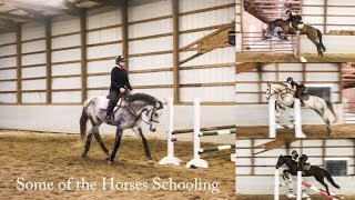 Horses Schooling Feb 1923 [upl. by Fleischer]