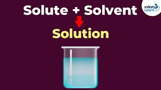 How does a Solute Dissolve in a Solvent  Solutions  Chemistry  Dont Memorise [upl. by Porcia153]