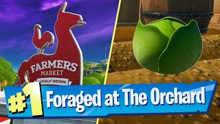 Gather or Consume Foraged Items at The Orchard Location  Fortnite Battle Royale [upl. by Stoneham]