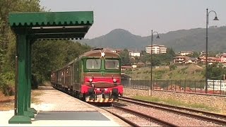 D 345 e D 445 a confronto  treni Floating Piers [upl. by Ranique490]