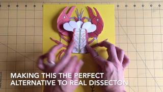 3D Dissection Models Getting Nerdy with Mel and Gerdy [upl. by Woodhouse]