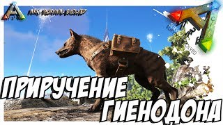 ARK Survival Evolved  ПРИРУЧЕНИЕ ГИЕНОДОНА TAMING HYAENODON [upl. by Rist]